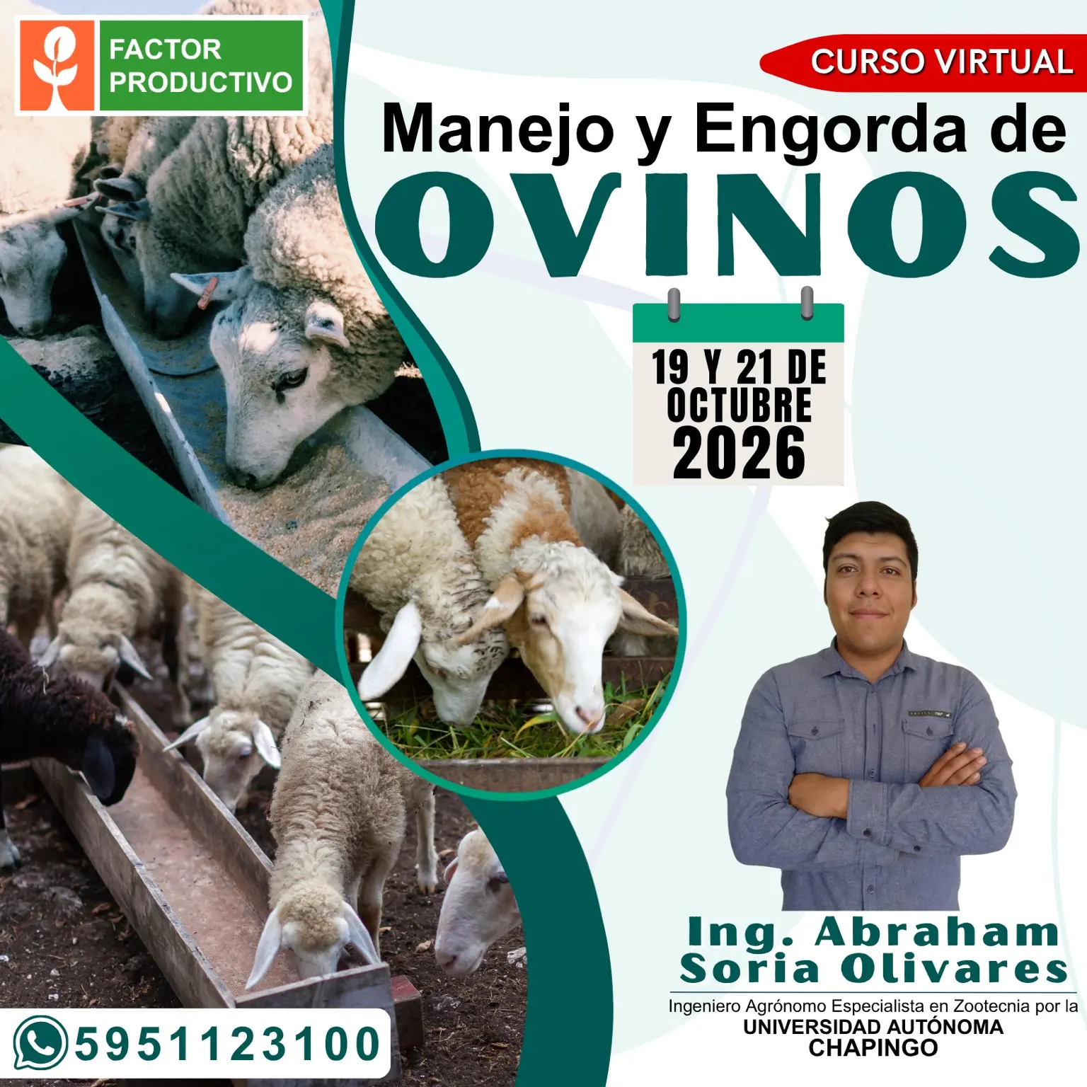 Programa del curso Manejo y Engorda de Ovinos